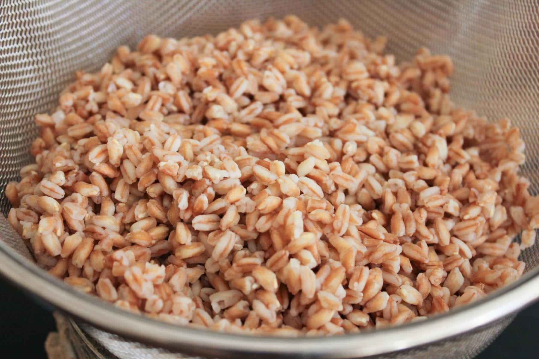 Farro-with-Kale-Pesto-Shaved-Zucchini-Parmesan-Marcona-Almonds-step-1